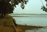 648_Cairns Esplanade, veel kustvogels en steltlopers